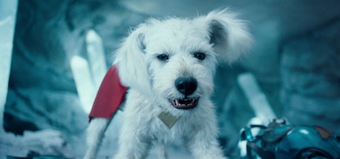 Krypto, der Superhund: Wo man ihn außer in James Gunns Superman noch sehen kann