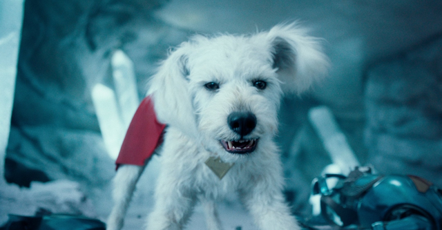 Krypto, der Superhund: Wo man ihn außer in James Gunns Superman noch sehen kann