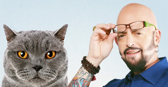 Der Katzenflüsterer