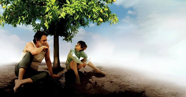 Mi planta de naranja lima