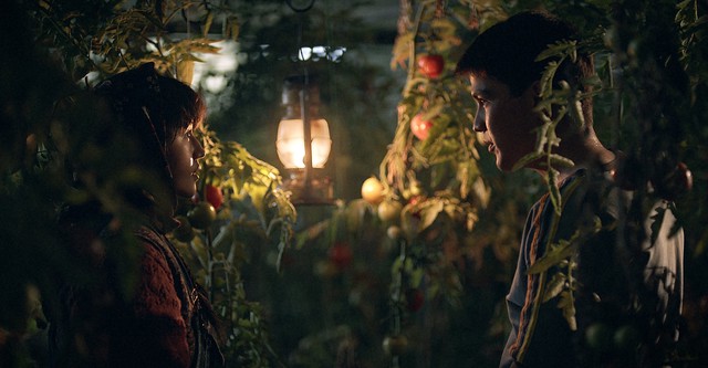 Dar sarzamin-e baradar