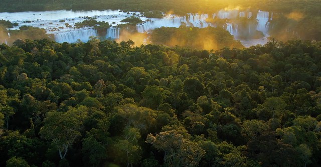 Brazil: A Natural History
