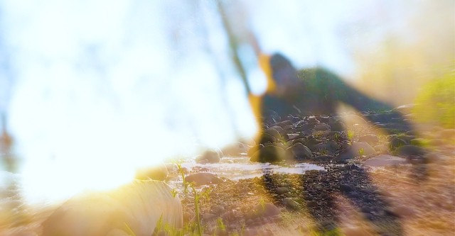 On the Trail of Bigfoot