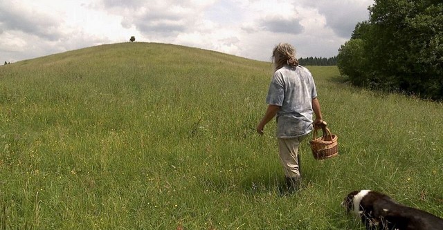 Auf der Suche nach Heilern