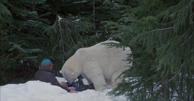 Pirados por la nieve