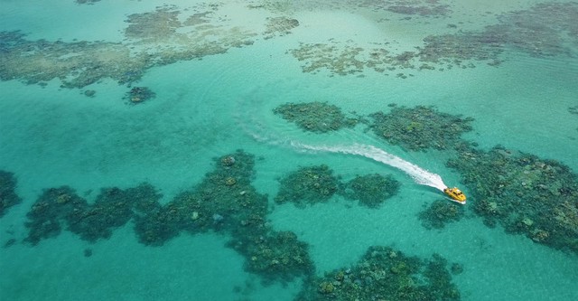 Das Great Barrier Reef