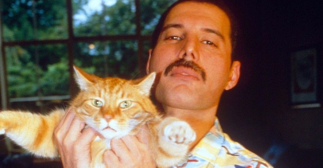 Freddie Mercury: The Great Pretender