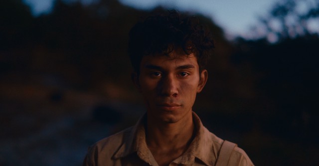 Erizo