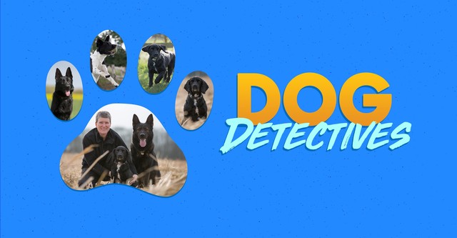 Dog Detectives