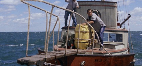 How to Watch the Very Best Shark Movies Online: From Jaws to Sharknado