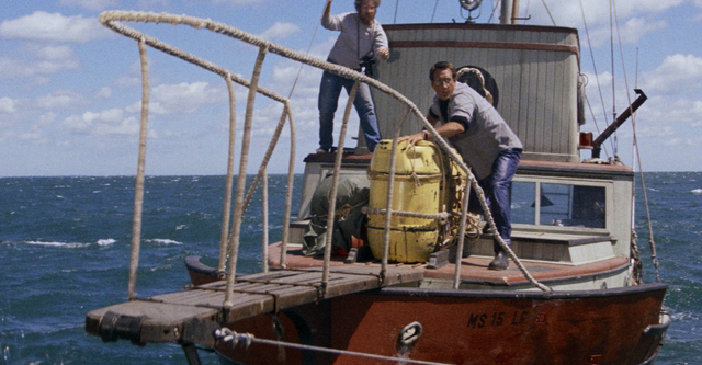 You're Gonna Need a Bigger Boat! How To Watch Every 'Jaws' Movie In Order