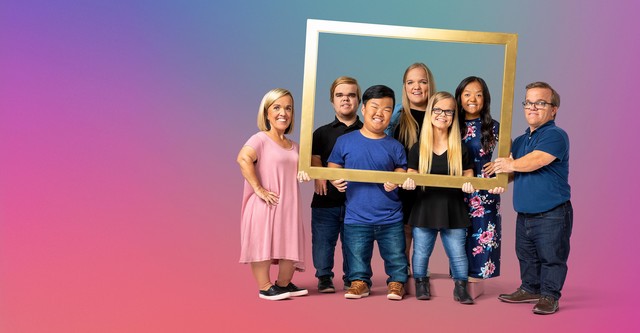 7 Little Johnstons
