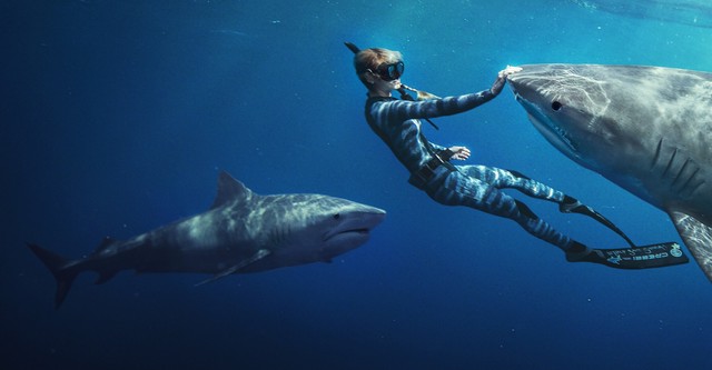 Encantadora de Tubarões