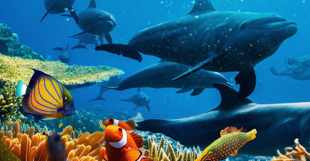 Océanos con David Attenborough