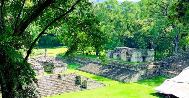 La caduta dei re Maya