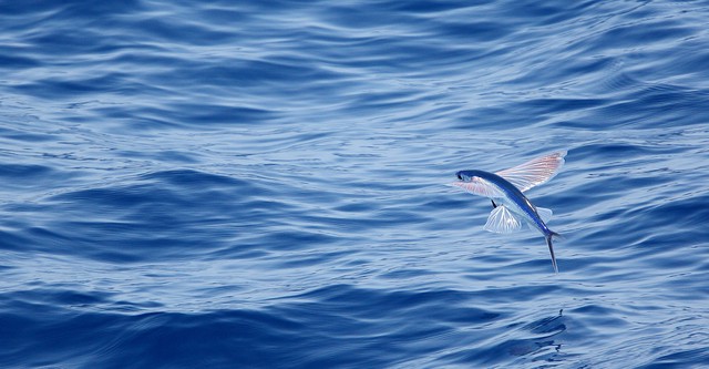 Mundos de agua