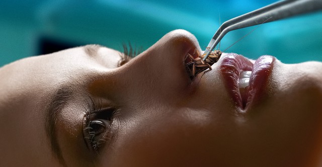 Dr Rose : Au cœur des urgences