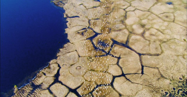 Planète Terre
