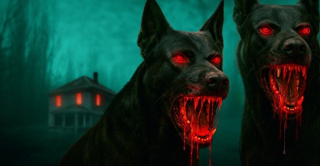 The Dogs