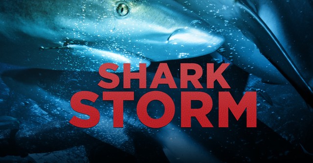 Shark Storm