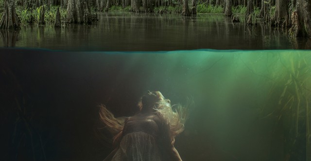 Swamp Murders