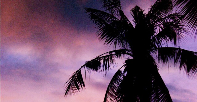 Sunrise Earth