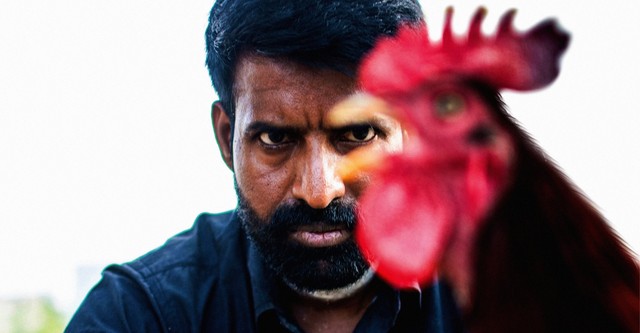 Kottukkaali