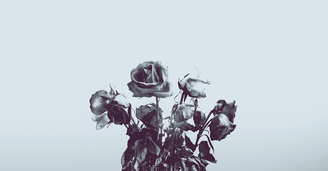 Til Death Do Us Part