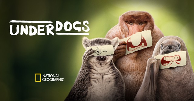 Les outsiders du monde animal