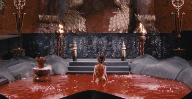 Legend of the Eight Samurai