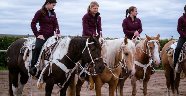 Heartland