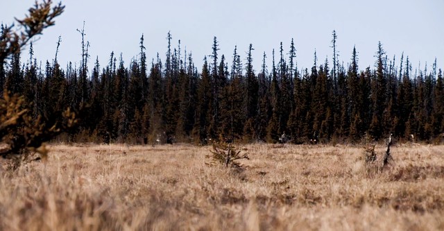 Alaska, última frontera