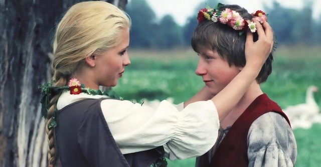 Die Geschichte von der Gänseprinzessin und ihrem treuen Pferd Falada