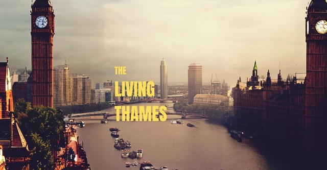 The Living Thames