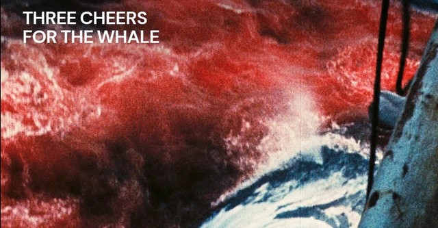 Three Cheers for the Whale