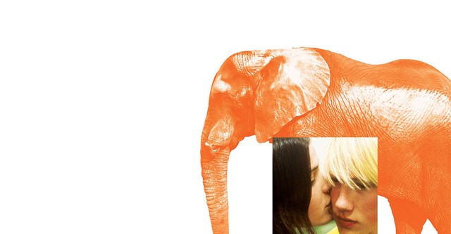 Elefante