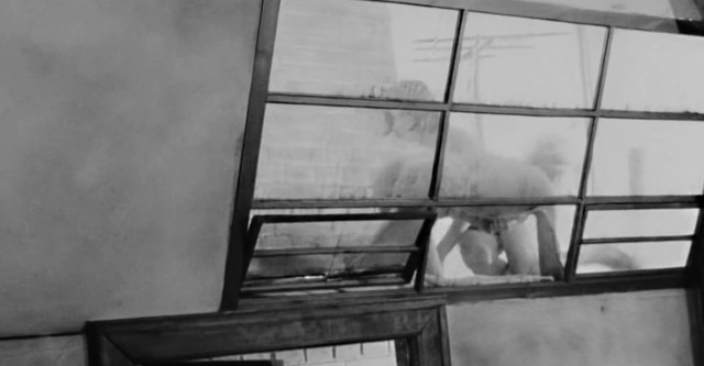 Identification Marks: None