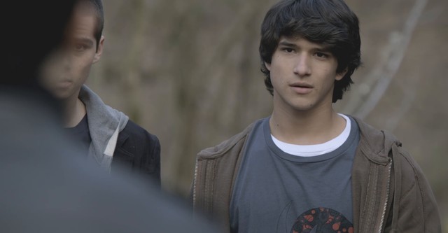 Un vârcolac adolescent