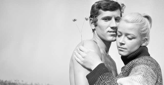 Sommer - Anfang ohne Ende