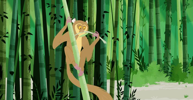 Aventuras com os Kratts