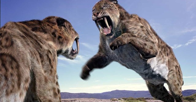 Walking with Beasts