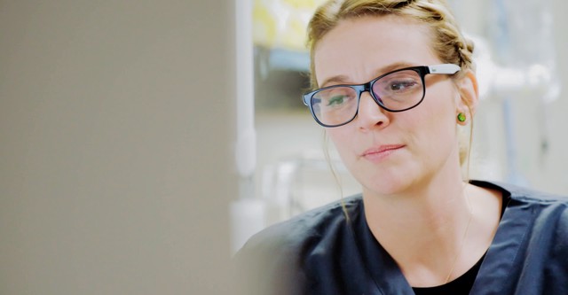 하트랜드의 수의사, DVM