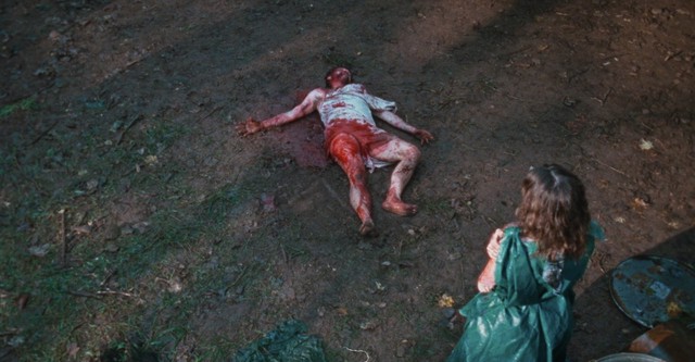 Im Kopf des Killers - A Wounded Fawn