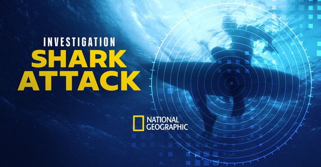 Investigation Shark Attack