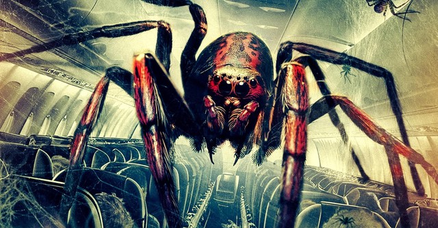 Spiders on a Plane