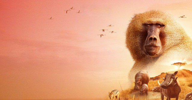 Serengeti