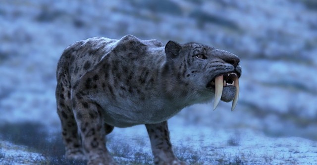 Age of Big Cats