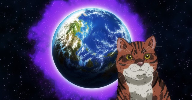 Nyaight of the Living Cat