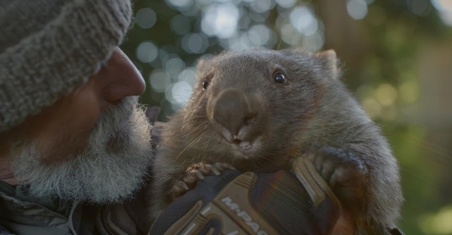 Notre nouveau monde : quand la terre nous surprend