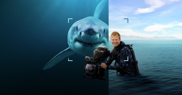 Sharks Up Close with Bertie Gregory